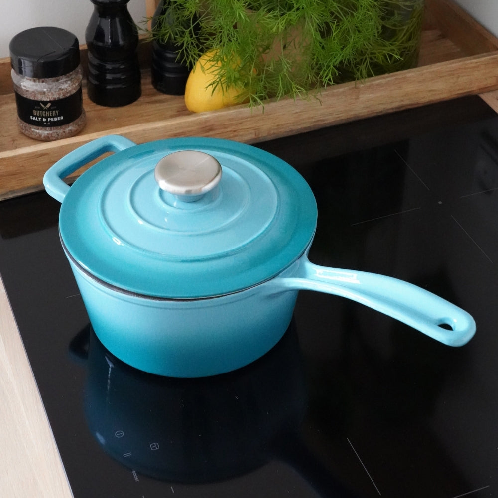 Steelpan van geëmailleerd gietijzer van 2 liter met deksel van Qookware